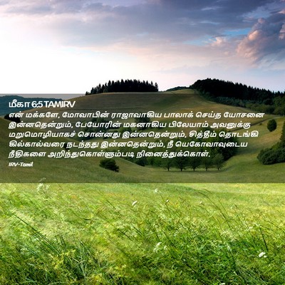 Picture 02 - மீகா 6:5 TAMIRV - என் மக்களே, - Bible Verse Picture