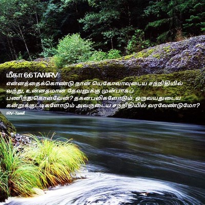 Picture 02 - மீகா 6:6 TAMIRV - என்னத்தைக்கொண்டு - Bible Verse Picture
