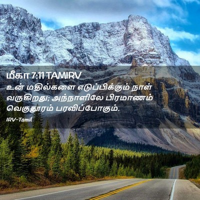 Picture 02 - மீகா 7:11 TAMIRV - உன் மதில்களை - Bible Verse Picture