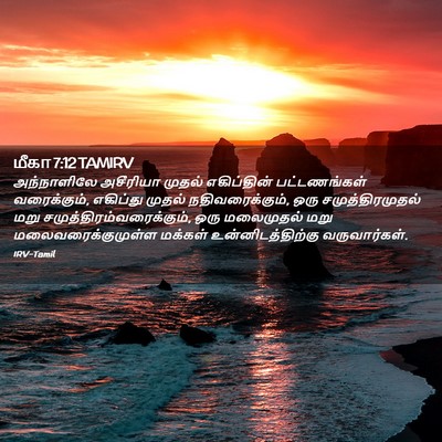 Picture 02 - மீகா 7:12 TAMIRV - அந்நாளிலே அசீரியா - Bible Verse Picture