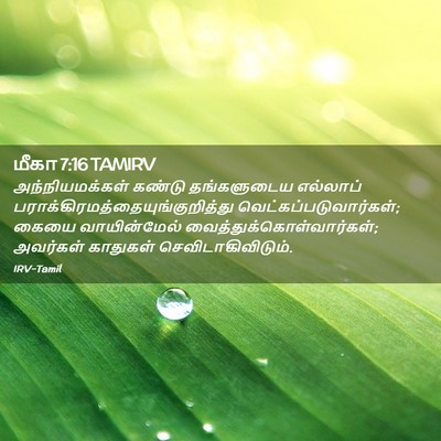 Picture 02 - மீகா 7:16 TAMIRV - அந்நியமக்கள் - Bible Verse Picture