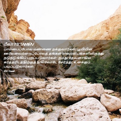 Picture 02 - மீகா 7:17 TAMIRV - பாம்பைப்போல மண்ணை - Bible Verse Picture