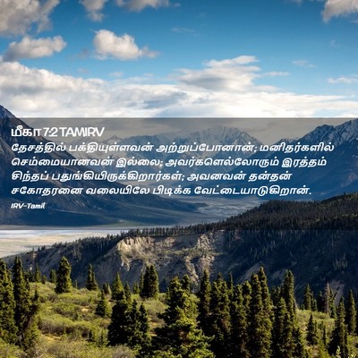 Picture 02 - மீகா 7:2 TAMIRV - தேசத்தில் - Bible Verse Picture