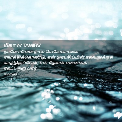 Picture 02 - மீகா 7:7 TAMIRV - நானோவென்றால் - Bible Verse Picture