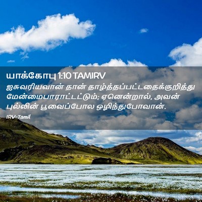Picture 02 - யாக்கோபு 1:10 TAMIRV - ஐசுவரியவான் தான் - Bible Verse Picture