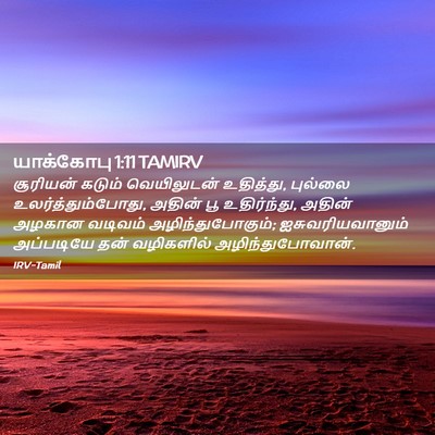 Picture 02 - யாக்கோபு 1:11 TAMIRV - சூரியன் கடும் - Bible Verse Picture