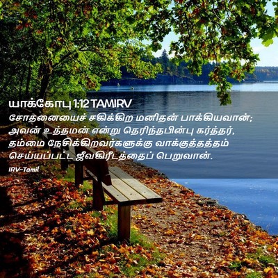 Picture 02 - யாக்கோபு 1:12 TAMIRV - சோதனையைச் - Bible Verse Picture