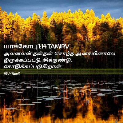 Picture 02 - யாக்கோபு 1:14 TAMIRV - அவனவன் தன்தன் - Bible Verse Picture