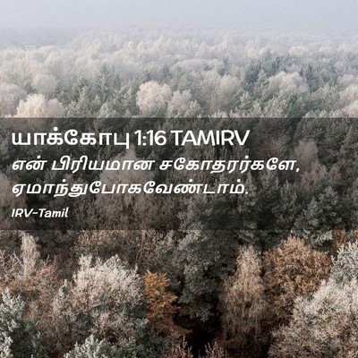 Picture 02 - யாக்கோபு 1:16 TAMIRV - என் பிரியமான - Bible Verse Picture