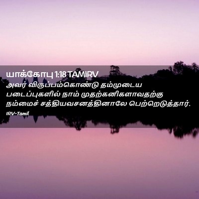 Picture 02 - யாக்கோபு 1:18 TAMIRV - அவர் - Bible Verse Picture