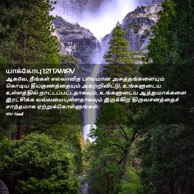 Picture 02 - யாக்கோபு 1:21 TAMIRV - ஆகவே, நீங்கள் - Bible Verse Picture
