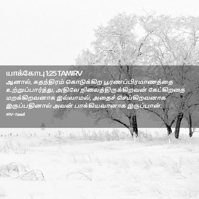 Picture 02 - யாக்கோபு 1:25 TAMIRV - ஆனால், சுதந்திரம் - Bible Verse Picture