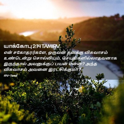 Picture 02 - யாக்கோபு 2:14 TAMIRV - என் சகோதரர்களே, - Bible Verse Picture