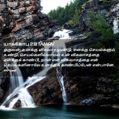 Picture 02 - யாக்கோபு 2:18 TAMIRV - ஒருவன்: உனக்கு - Bible Verse Picture