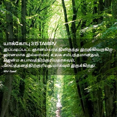 Picture 02 - யாக்கோபு 3:15 TAMIRV - இப்படிப்பட்ட - Bible Verse Picture