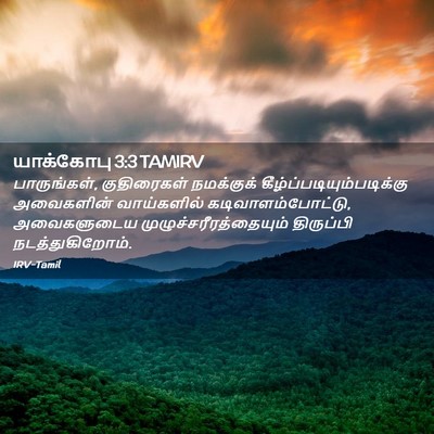 Picture 02 - யாக்கோபு 3:3 TAMIRV - பாருங்கள், - Bible Verse Picture