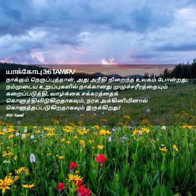 Picture 02 - யாக்கோபு 3:6 TAMIRV - நாக்கும் - Bible Verse Picture