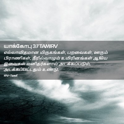 Picture 02 - யாக்கோபு 3:7 TAMIRV - எல்லாவிதமான - Bible Verse Picture