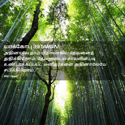 Picture 02 - யாக்கோபு 3:9 TAMIRV - அதினாலே நாம் - Bible Verse Picture