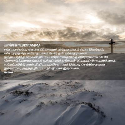 Picture 02 - யாக்கோபு 4:11 TAMIRV - சகோதரர்களே, - Bible Verse Picture