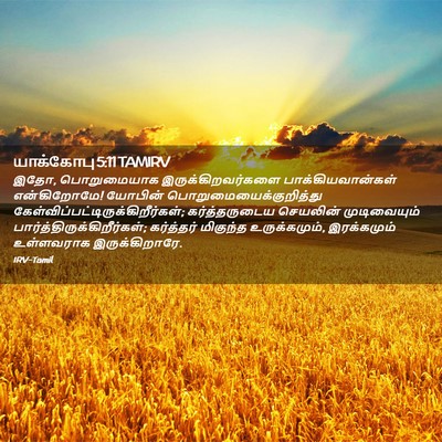 Picture 02 - யாக்கோபு 5:11 TAMIRV - இதோ, பொறுமையாக - Bible Verse Picture