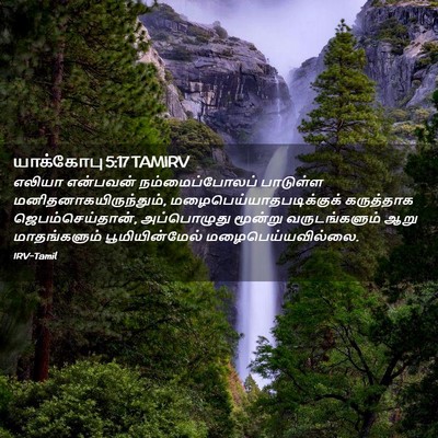 Picture 02 - யாக்கோபு 5:17 TAMIRV - எலியா என்பவன் - Bible Verse Picture