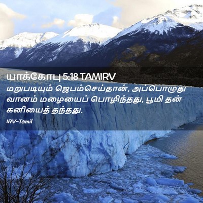 Picture 02 - யாக்கோபு 5:18 TAMIRV - மறுபடியும் - Bible Verse Picture