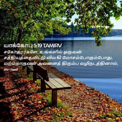 Picture 02 - யாக்கோபு 5:19 TAMIRV - சகோதரர்களே, - Bible Verse Picture