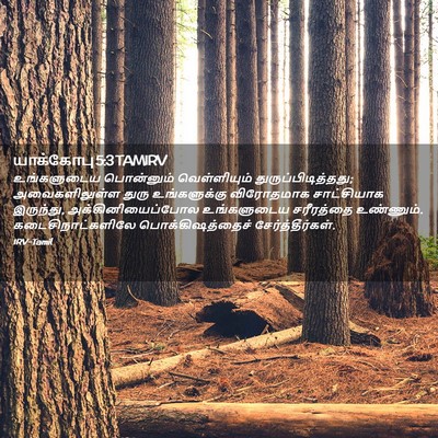 Picture 02 - யாக்கோபு 5:3 TAMIRV - உங்களுடைய - Bible Verse Picture