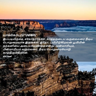 Picture 02 - யாக்கோபு 5:7 TAMIRV - இப்படியிருக்க, - Bible Verse Picture