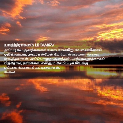 Picture 02 - யாத்திராகமம் 1:11 TAMIRV - அப்படியே - Bible Verse Picture