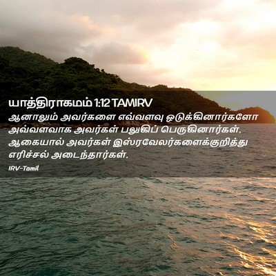 Picture 02 - யாத்திராகமம் 1:12 TAMIRV - ஆனாலும் அவர்களை - Bible Verse Picture