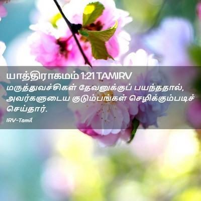 Picture 02 - யாத்திராகமம் 1:21 TAMIRV - மருத்துவச்சிகள் - Bible Verse Picture