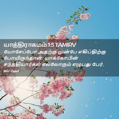 Picture 02 - யாத்திராகமம் 1:5 TAMIRV - யோசேப்போ அதற்கு - Bible Verse Picture