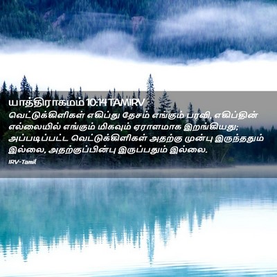Picture 02 - யாத்திராகமம் 10:14 TAMIRV - வெட்டுக்கிளிகள் - Bible Verse Picture