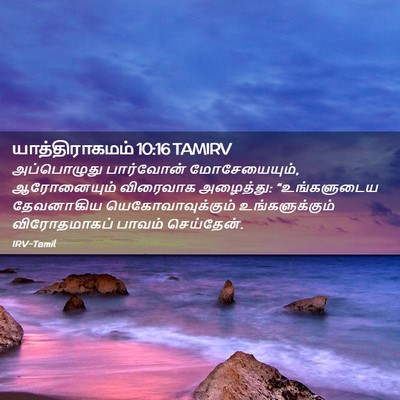 Picture 02 - யாத்திராகமம் 10:16 TAMIRV - அப்பொழுது - Bible Verse Picture