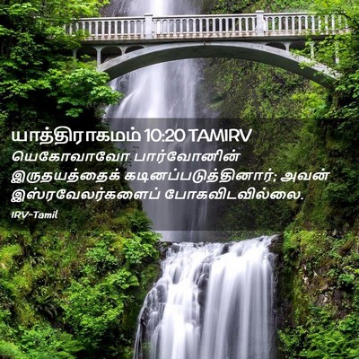 Picture 02 - யாத்திராகமம் 10:20 TAMIRV - யெகோவாவோ - Bible Verse Picture