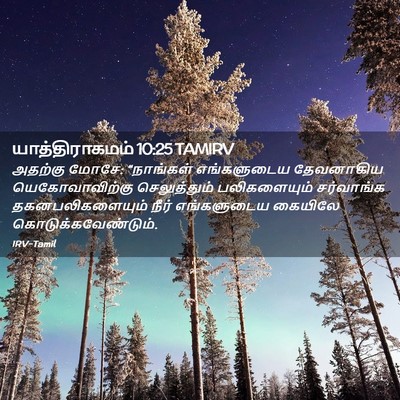 Picture 02 - யாத்திராகமம் 10:25 TAMIRV - அதற்கு மோசே: - Bible Verse Picture