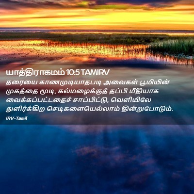 Picture 02 - யாத்திராகமம் 10:5 TAMIRV - தரையை - Bible Verse Picture