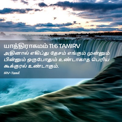 Picture 02 - யாத்திராகமம் 11:6 TAMIRV - அதினால் எகிப்து - Bible Verse Picture