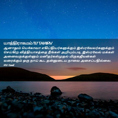 Picture 02 - யாத்திராகமம் 11:7 TAMIRV - ஆனாலும் யெகோவா - Bible Verse Picture