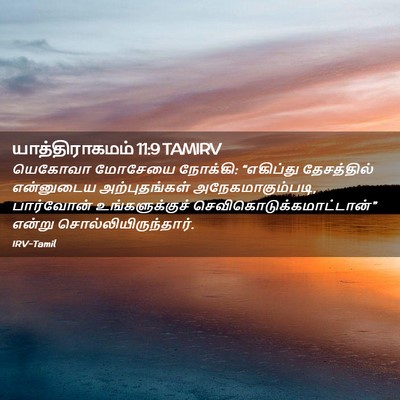 Picture 02 - யாத்திராகமம் 11:9 TAMIRV - யெகோவா மோசேயை - Bible Verse Picture