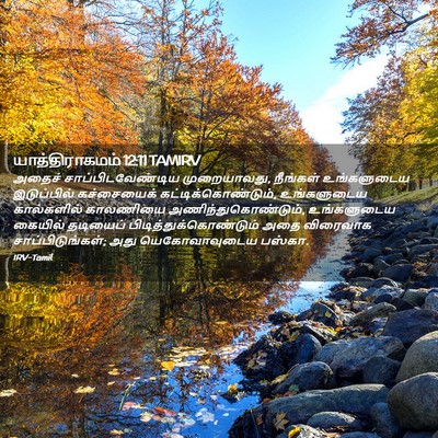Picture 02 - யாத்திராகமம் 12:11 TAMIRV - அதைச் - Bible Verse Picture
