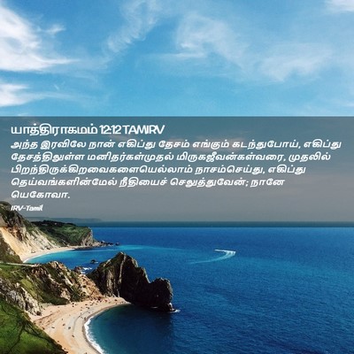 Picture 02 - யாத்திராகமம் 12:12 TAMIRV - அந்த இரவிலே நான் - Bible Verse Picture
