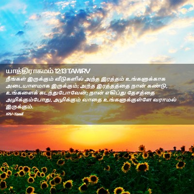 Picture 02 - யாத்திராகமம் 12:13 TAMIRV - நீங்கள் இருக்கும் - Bible Verse Picture