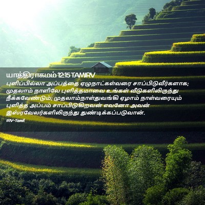 Picture 02 - யாத்திராகமம் 12:15 TAMIRV - புளிப்பில்லா - Bible Verse Picture