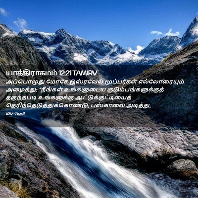 Picture 02 - யாத்திராகமம் 12:21 TAMIRV - அப்பொழுது மோசே - Bible Verse Picture