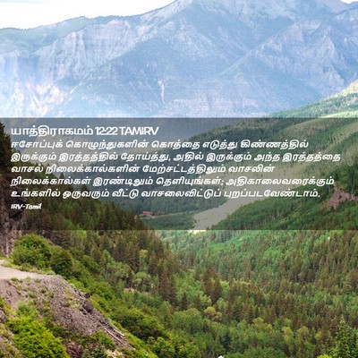 Picture 02 - யாத்திராகமம் 12:22 TAMIRV - ஈசோப்புக் - Bible Verse Picture