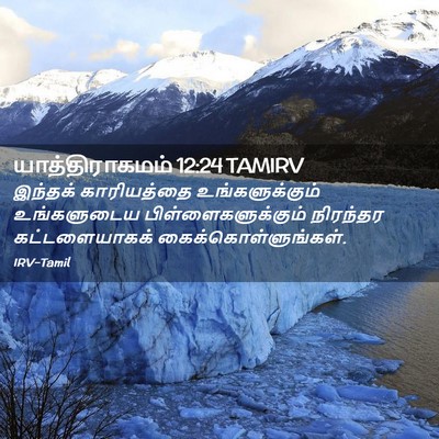 Picture 02 - யாத்திராகமம் 12:24 TAMIRV - இந்தக் காரியத்தை - Bible Verse Picture
