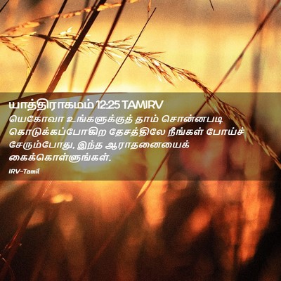 Picture 02 - யாத்திராகமம் 12:25 TAMIRV - யெகோவா - Bible Verse Picture